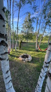 Camp Birch Forest - 2