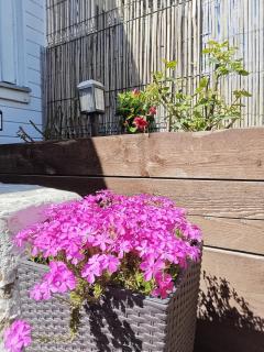 Palanga House Close To Beach Min Of 4-8 Guests - 4