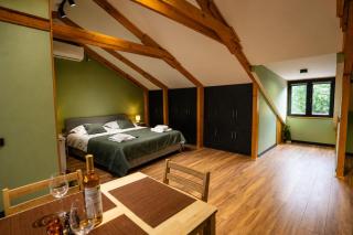 cozy Attic in old tbilisi yard - 2