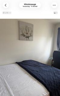 Beautiful Queen size bed - 0