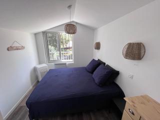 Entre Plage et Pins Plage à 50 m Spa privatif Villa familiale 8 personnes - 2