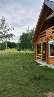 Camp Birch Forest - 5