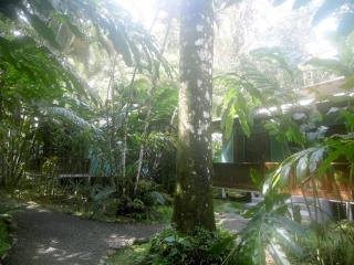 El Colibri Lodge - 1
