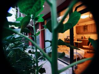 Sunflower Studio Nessebar - 4