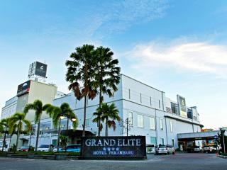 Grand Elite Hotel Pekanbaru - Pekanbaru - 0