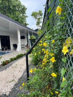 Casa Zella -2 BR whole house, private pool, sleeps up to 6 - 1