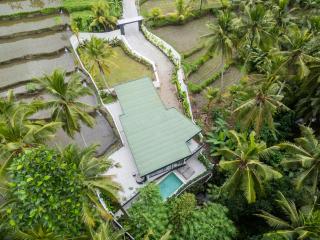 BranNew villa 3Bdr and office Ubud - 5