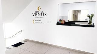hotel venus - 5