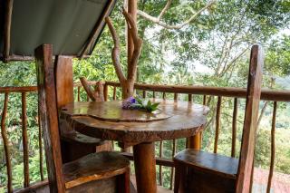 Ella Soul Nest Glamping Tent for Nature Lovers - 5