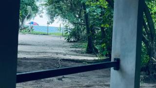 Sunset Breeze - 2