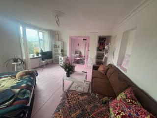 Book Entire 3BR Apartment in Central Copenhagen - 6