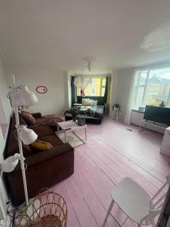 Book Entire 3BR Apartment in Central Copenhagen - 4