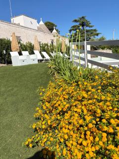 Belvedere di Puglia casa vacanza - 5