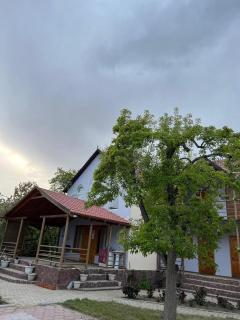 Green House - 3