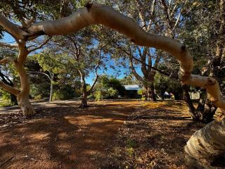 Nutbush Retreat - Space to Connect, Room to Relax - 6