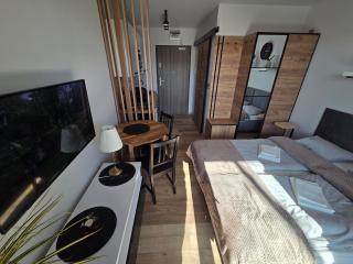 Royal Apartment near Old Town Kraków - 8