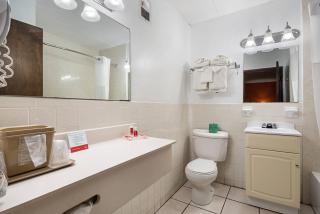 Econo Lodge Inn & Suites Windsor Locks Bradley Airport - 1