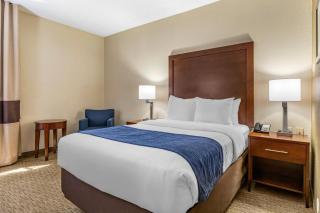 Comfort Inn Near Greenfield Village - 5