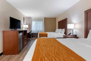 Comfort Inn Binghamton I-81 - 3