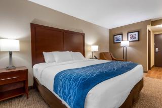 Comfort Inn Binghamton I-81 - 1