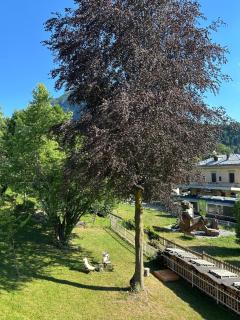 B&B Il Faggio Rosso - 7