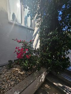 Apartment Ellena - 9