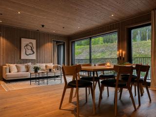 Hemsedal ski-inn-ski-out apartment - 5