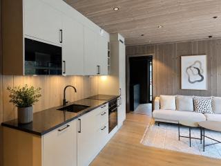 Hemsedal ski-inn-ski-out apartment - 3
