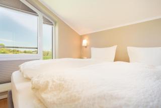 Haus-Hagebutte - 5
