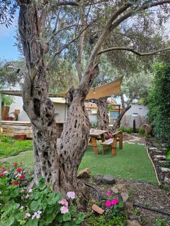 Traditional house near Troodos for families and nature lovers! - Nicosie - 5