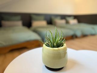 Charmante gemütliche Ferienwohnung - 8