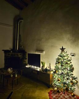 Traditional house near Troodos for families and nature lovers! - Nicosie - 3