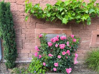 Altes Schloss 5 - 8