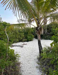Baraka House, Beautiful Watamu beachfront location - 8
