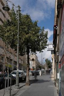 Shlomtzi Hotel - 9