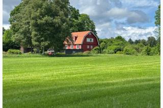 Swedish Cottage near a lake - 5