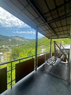 Woodland Borjomi - 8