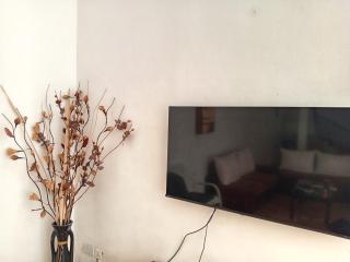 Maison du bonheur SILVER PALM - 4