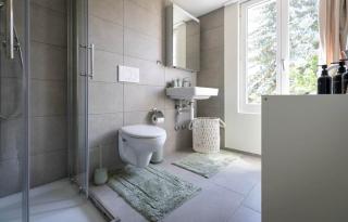 DIHEI-Suite in Romanshorn - zentral am Bodensee - 3