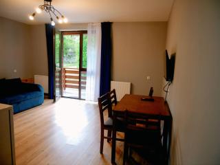 Gablile apartments - Mestia - 8
