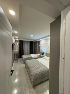 Cozy Apartment Borjomi - 3