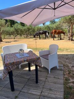 Casa RALIVO di Sicilia - 1