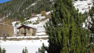Borda Cal Call, casa rústica - 3
