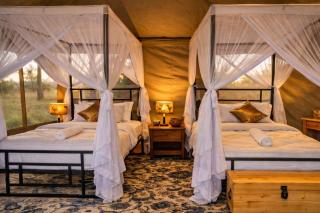 Adimu Mara Camp - 6