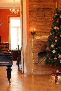 Authentic home with fireplace in a center Tbilisi - 1