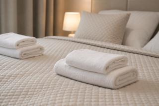 Metropolis - Infiniti Apartment - FREE PARKING - 6