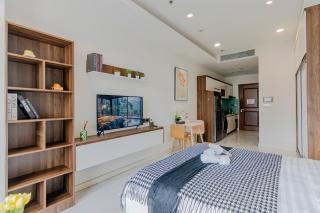 De Lux Central Studio next Hyatt ,Opera House ,Benthanh ,Pool,Gym - 5