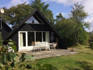 Cozy Holiday cottage at Ringkøbing Fjord - 7