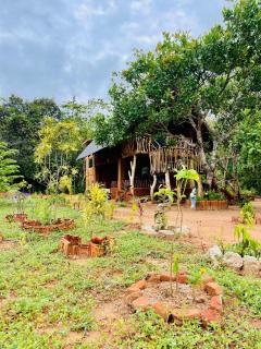 Hidden Kingdom Villa - 1