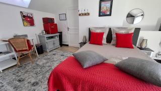 Halte détente chez Sylvie près A71 Bourges - chambres avec sauna, billard, repas sur demande - 2